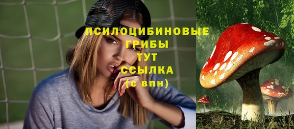 jwh Каменка