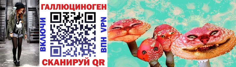 blacksprut вход как найти Камень-на-Оби Псилоцибиновые грибы Cubensis