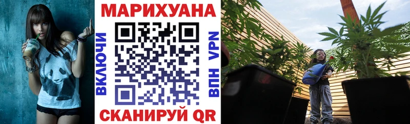 Бошки марихуана OG Kush  OMG сайт  Камень-на-Оби 